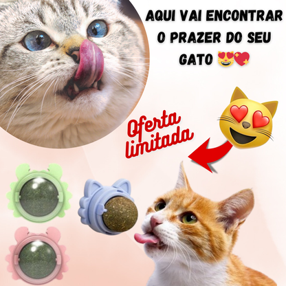 Bola de erva-dos-gatos rotativa